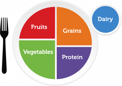 Đồ họa MyPlate hiển thị một đĩa được chia thành bốn phần có nhãn Trái cây, Rau, Ngũ cốc và Protein, với một vòng tròn riêng biệt có nhãn Dairy ở bên cạnh.